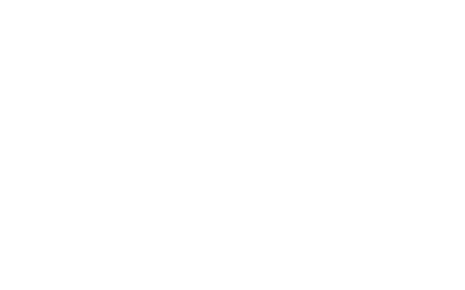 Servicios de consultoría y procesos logísticos Bigticket