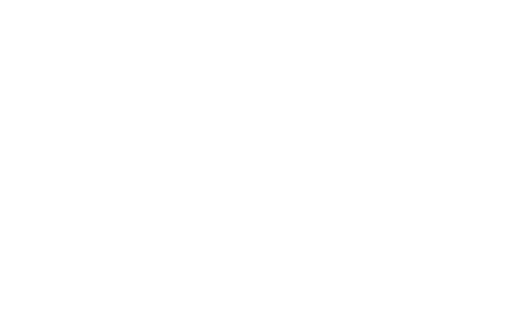 Servicio de Diseño y Optimización de Layout Logístico Cliente Sollem